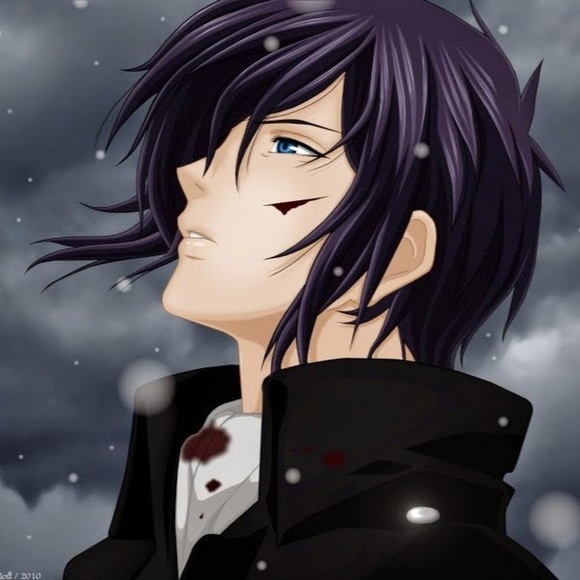 Meet your Posher, Nolan - Picture 1 of 1